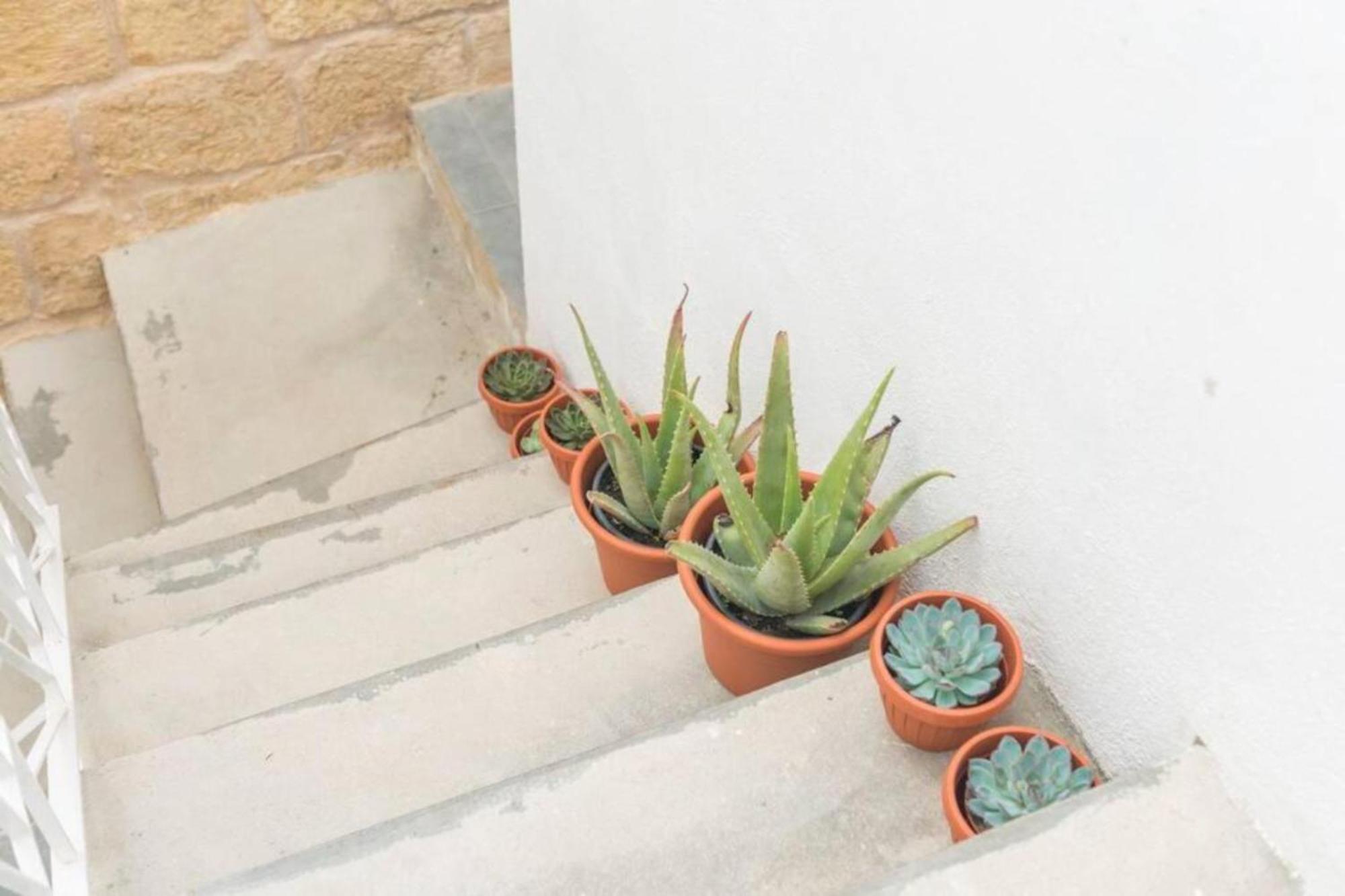 Cospicua Authentic 1St Fl Apartment At The 3 Cities Marina מראה חיצוני תמונה